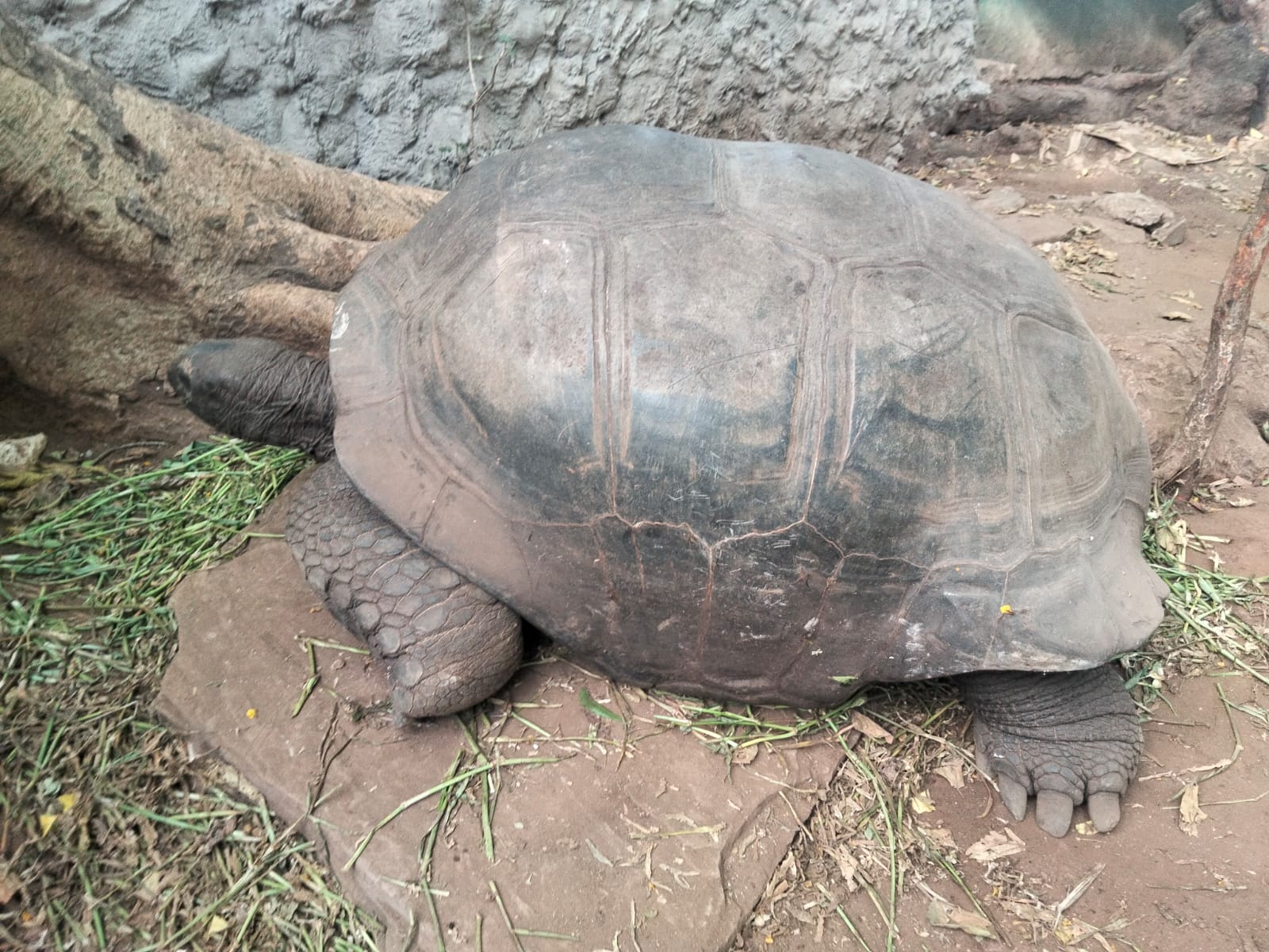 2 Giorni Tsavo Est e Riserva di Ngutuni
