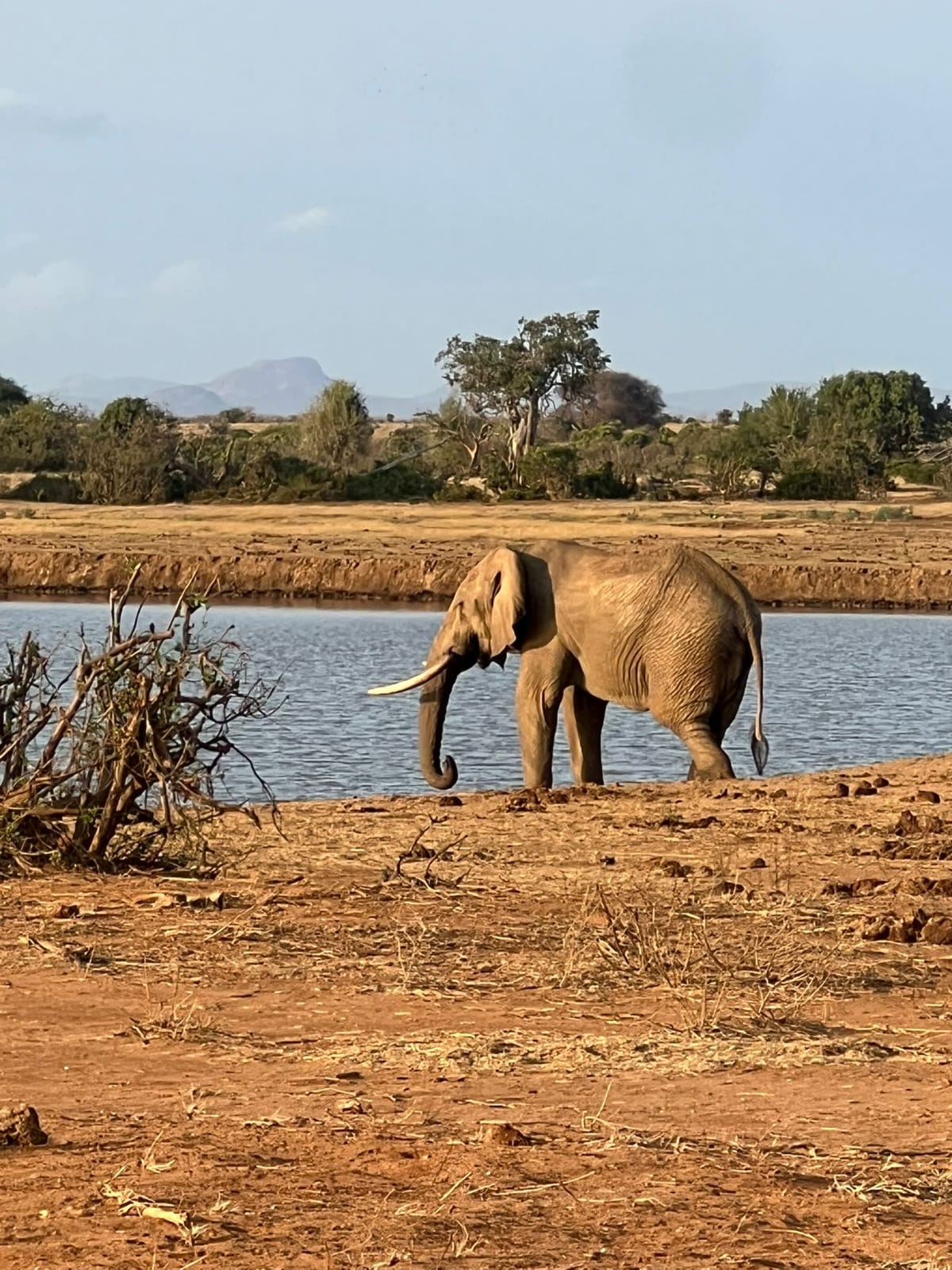 3 Giorni Tsavo Est e Amboseli